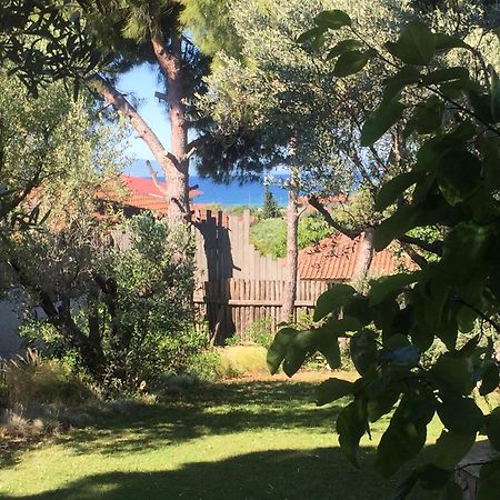 Sea View Villa In Olive Garden Nea Kallikrateia Dış mekan fotoğraf