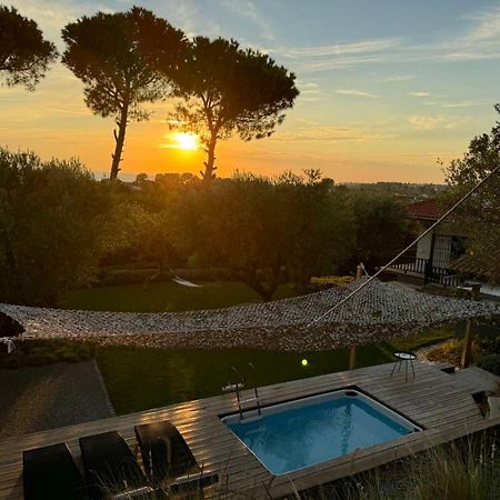 Sea View Villa In Olive Garden Nea Kallikrateia Dış mekan fotoğraf