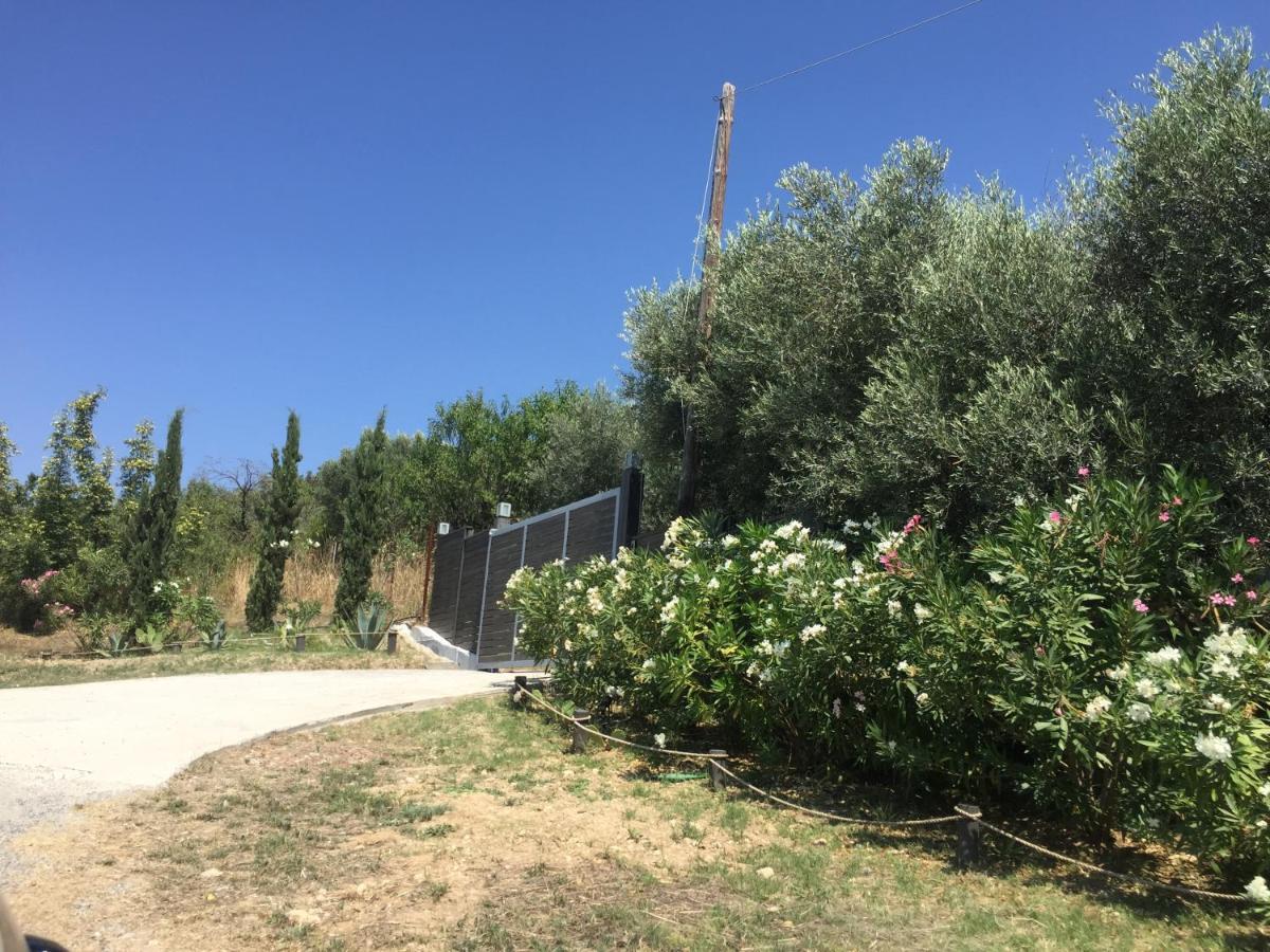 Sea View Villa In Olive Garden Nea Kallikrateia Dış mekan fotoğraf
