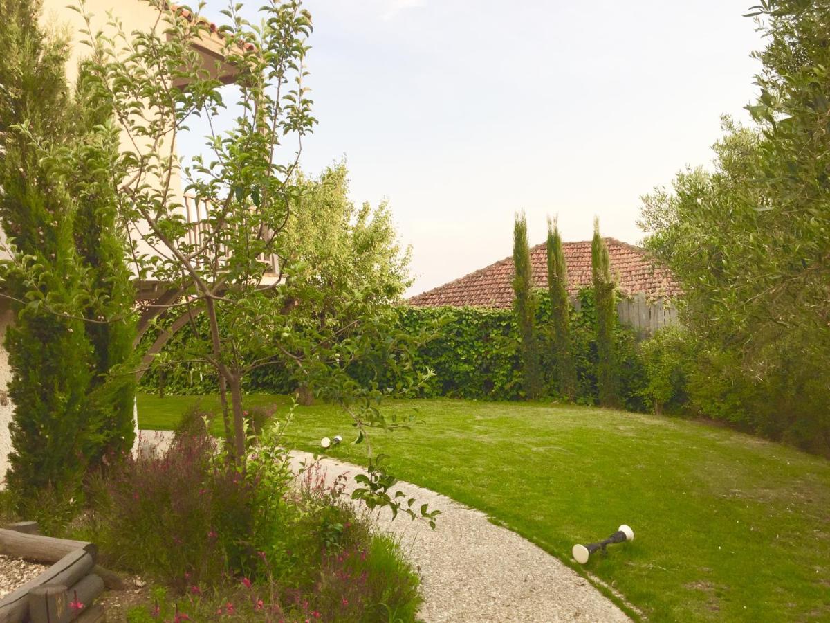 Sea View Villa In Olive Garden Nea Kallikrateia Dış mekan fotoğraf