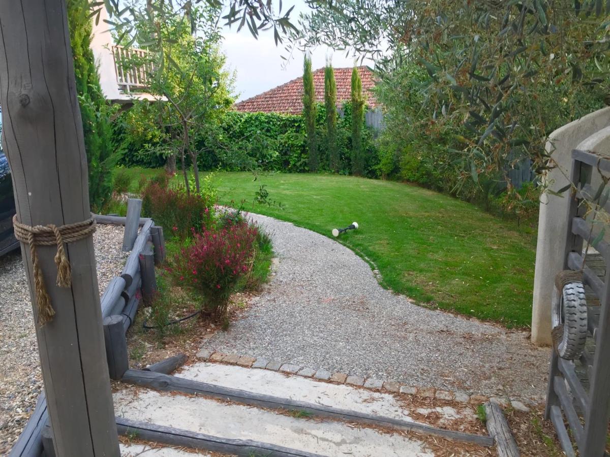 Sea View Villa In Olive Garden Nea Kallikrateia Dış mekan fotoğraf