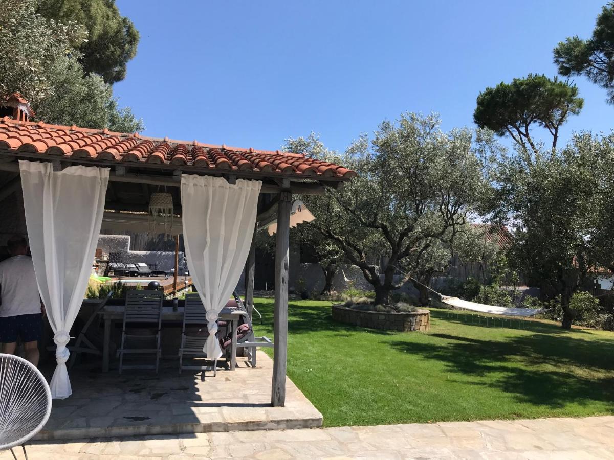 Sea View Villa In Olive Garden Nea Kallikrateia Dış mekan fotoğraf
