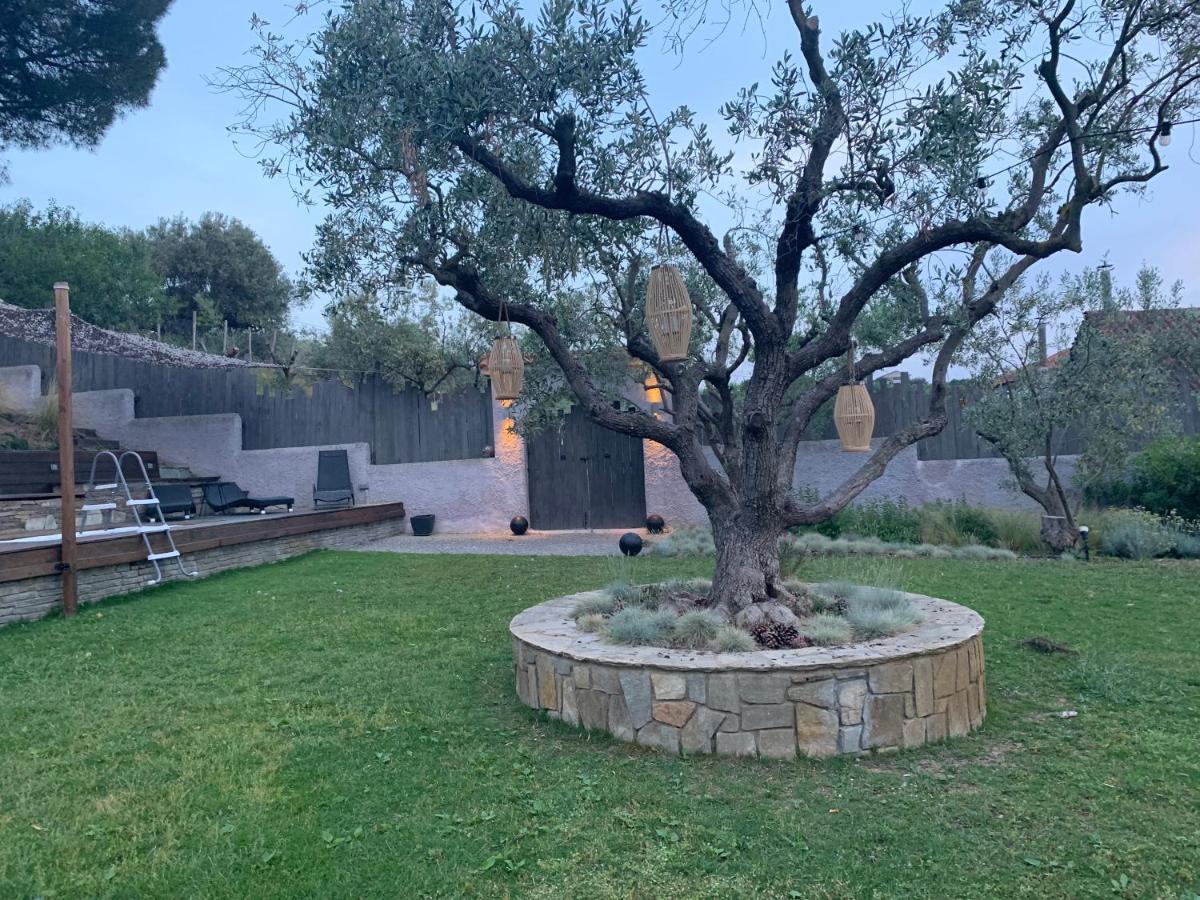 Sea View Villa In Olive Garden Nea Kallikrateia Dış mekan fotoğraf