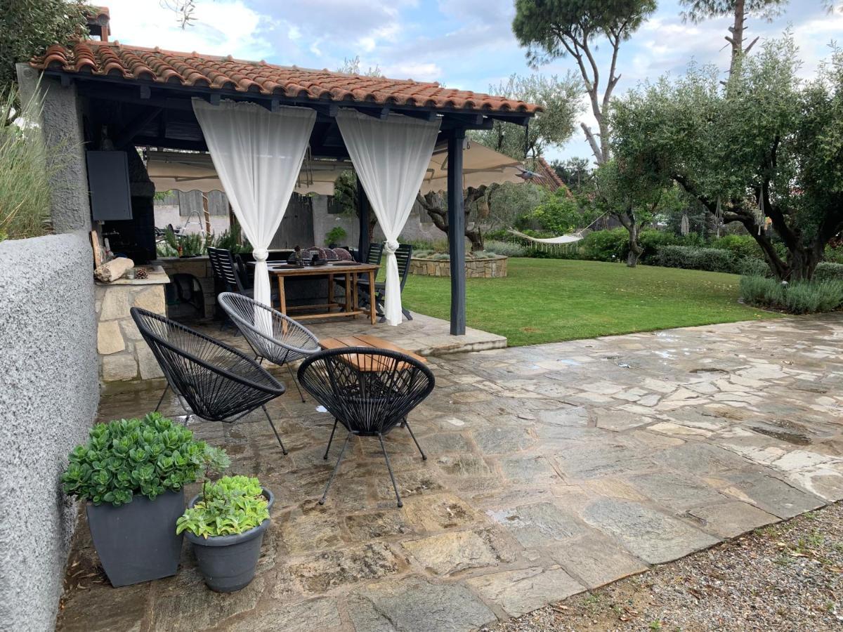 Sea View Villa In Olive Garden Nea Kallikrateia Dış mekan fotoğraf