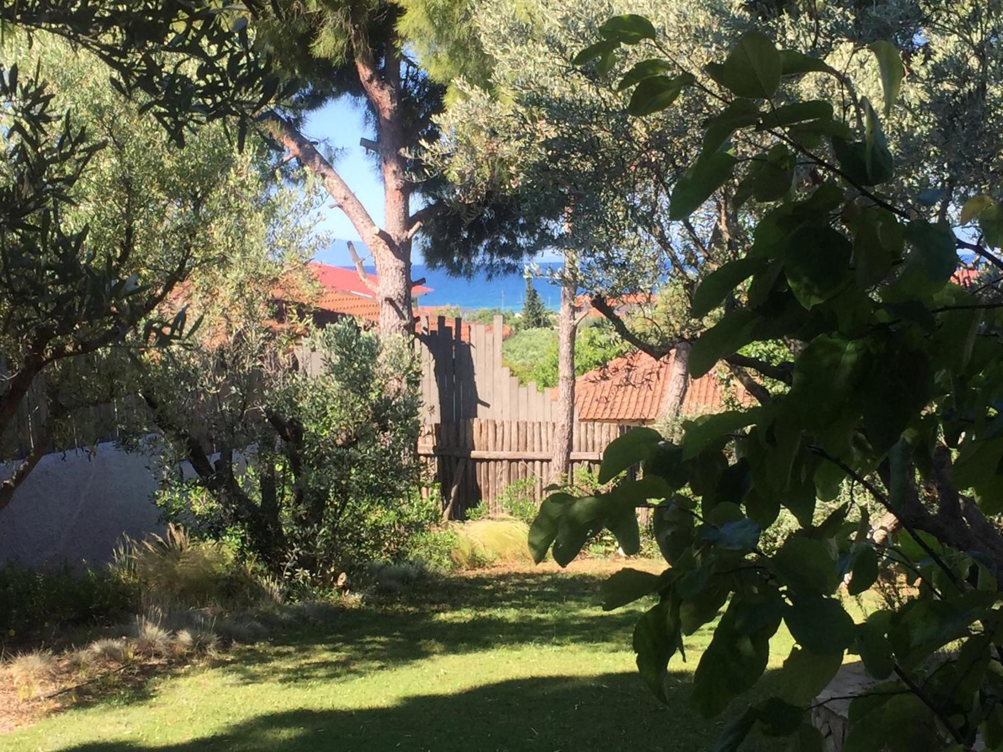 Sea View Villa In Olive Garden Nea Kallikrateia Dış mekan fotoğraf