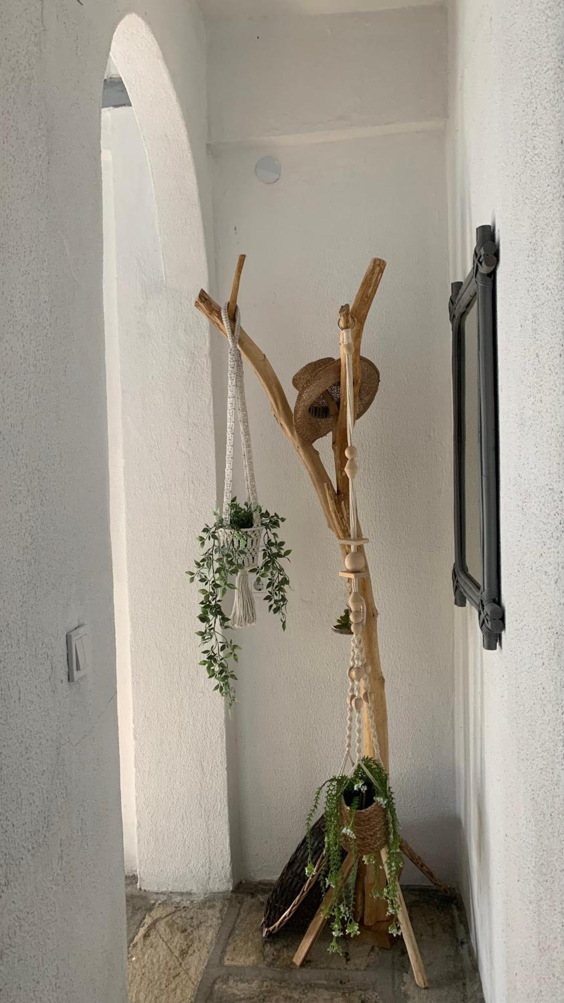 Sea View Villa In Olive Garden Nea Kallikrateia Dış mekan fotoğraf
