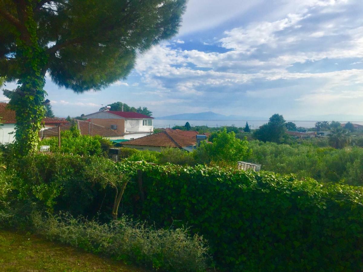 Sea View Villa In Olive Garden Nea Kallikrateia Dış mekan fotoğraf