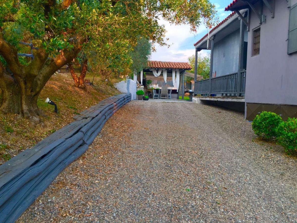 Sea View Villa In Olive Garden Nea Kallikrateia Dış mekan fotoğraf