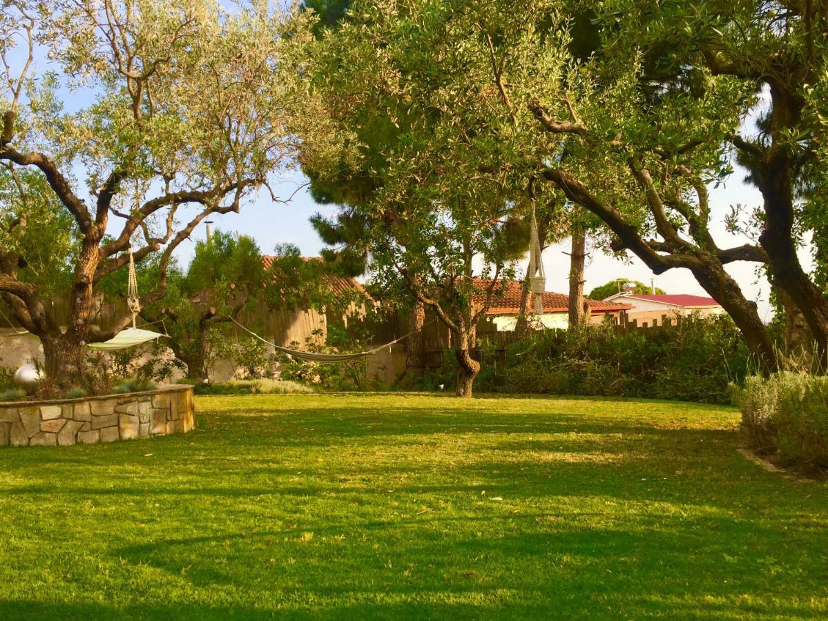 Sea View Villa In Olive Garden Nea Kallikrateia Dış mekan fotoğraf