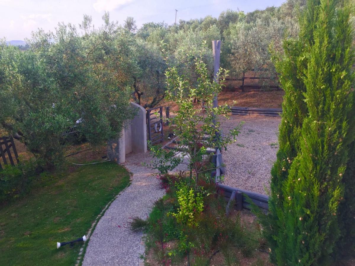 Sea View Villa In Olive Garden Nea Kallikrateia Dış mekan fotoğraf