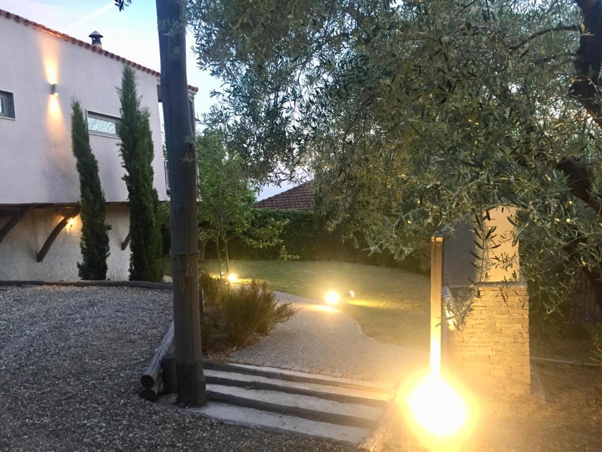 Sea View Villa In Olive Garden Nea Kallikrateia Dış mekan fotoğraf