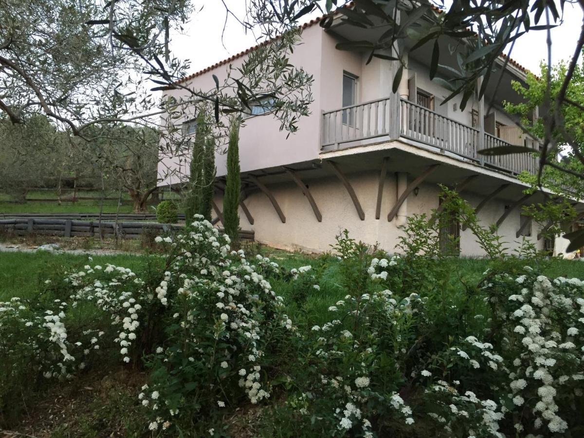 Sea View Villa In Olive Garden Nea Kallikrateia Dış mekan fotoğraf