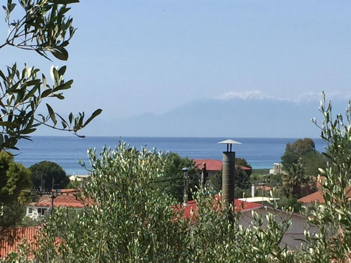 Sea View Villa In Olive Garden Nea Kallikrateia Dış mekan fotoğraf