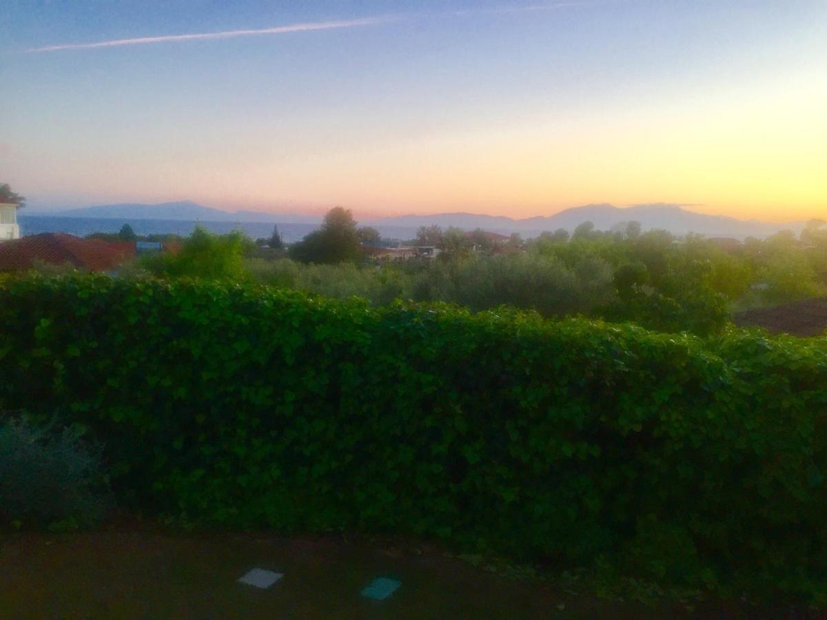 Sea View Villa In Olive Garden Nea Kallikrateia Dış mekan fotoğraf